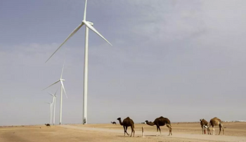 Des éoliennes devant fournir de l'électricité à la station de désalinisation en cours de construction de Dakhla, dans le territoire disputé du Sahara occidental, le 26 mai 2025
