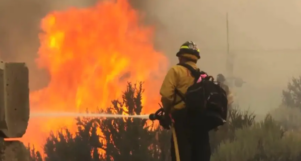 ASSOCIATED PRESS Le Hawk Fire, déclaré samedi, s’est rapidement étendu sur près de 53 km² en progressant dans le secteur de Peavine Peak, au sein de la forêt nationale Humboldt-Toiyabe.