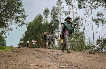 An armed militia fighter walks down a path in the Amhara region of northern Ethiopia.
