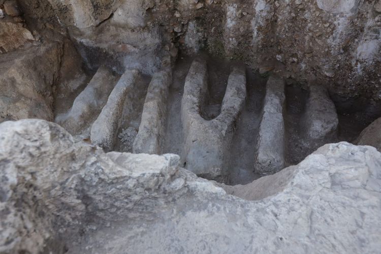Eliyahu Yanai, City of David