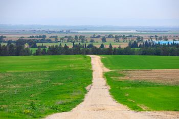 שדות בעוטף עזה, ארכיון