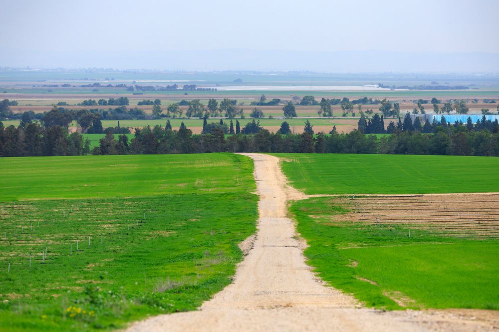 שדות בעוטף עזה, ארכיון