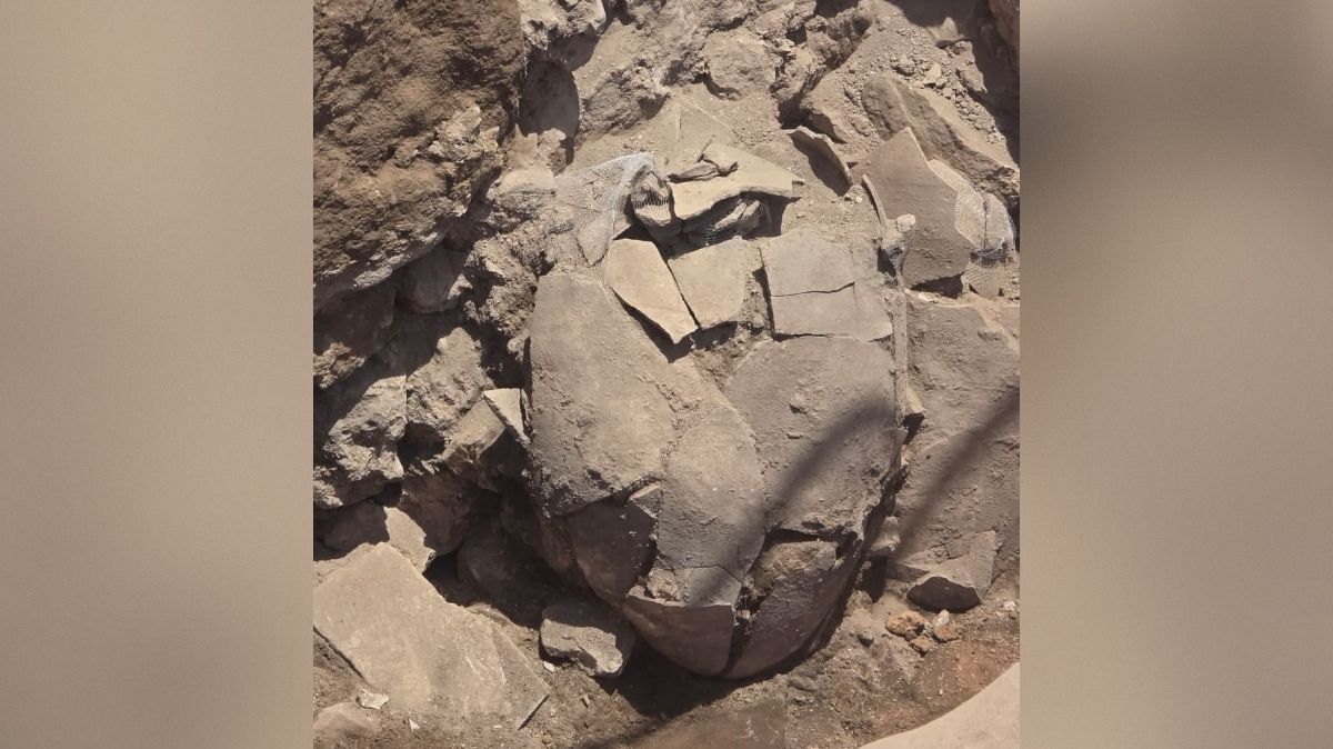 Trois jarres vieilles de plusieurs millénaires découvertes à proximité du site du Tabernacle à Silo