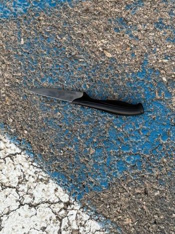 Knife in attempted stabbing on Border Police
