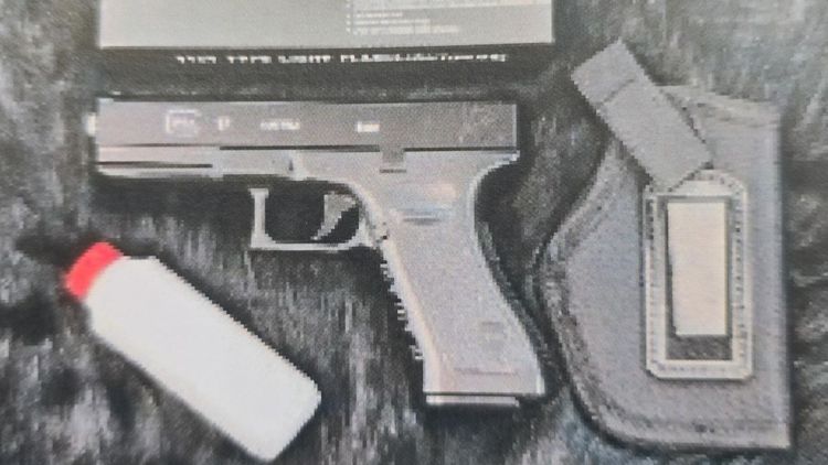 الأسلحة التي عُثر عليها في الخلية التي خططت للهجوم المسلح في كرميئيل