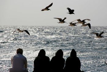 الناس يشاهدون طيور النورس تحلق فوق البحر الأحمر في مدينة جدة الساحلية، المملكة العربية السعودية، 3 مارس 2021.