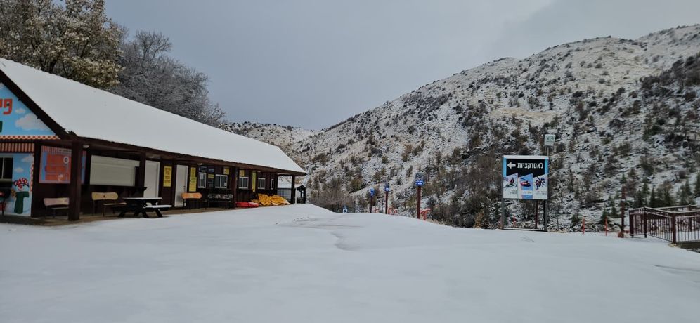 Premières neiges sur les pentes inférieures du mont Hermon, Israël