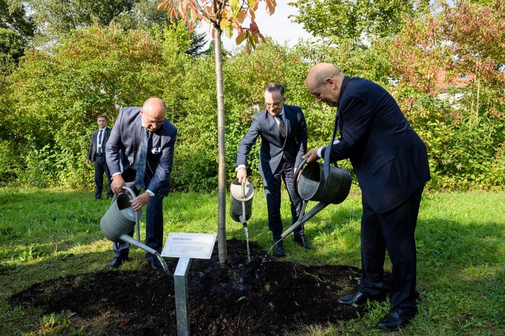 Poland's Minister of Foreign Affairs Zbigniew Rau (L) with his German and French counterparts Heiko Maas and Jean-Yves Le Drian (R) plant a tree on the memorial path of Buchenwald nazi concentration camp in Weimar, Germany, on September 10, 2021.