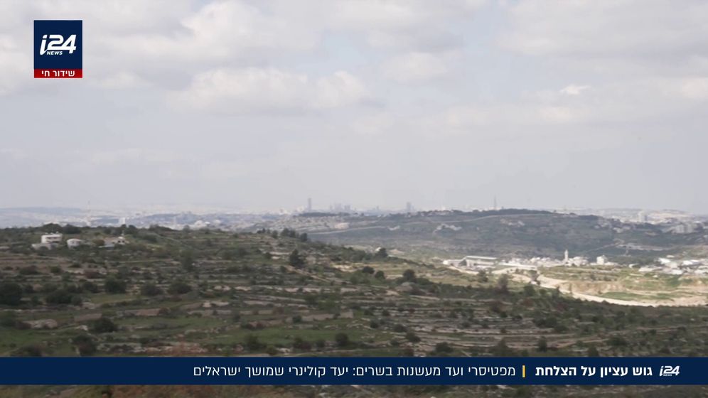 מסע קולינרי בהרי יהודה: מאפים צרפתיים, בשרים מעושנים ויין מקומי