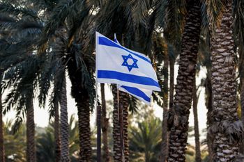 Un drapeau israélien flottant au milieu d'une plantation de dattes dans l'implantation de Shlomtzion, le 27 janvier 2020.