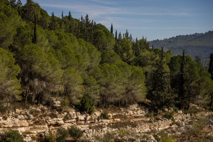 West Jerusalem Closer To A Greener Construction Plan - Vimarsana News