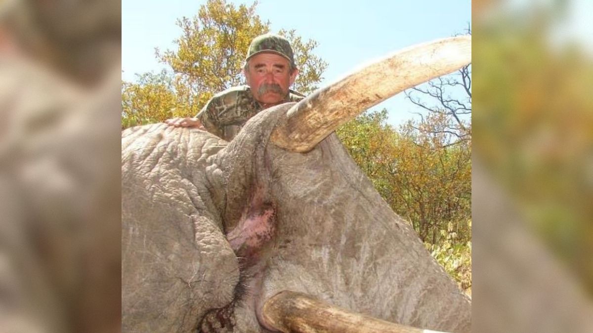 تفاصيل صادمة: خمس فيلات تنهي حياة صياد حيوانات برية شهير