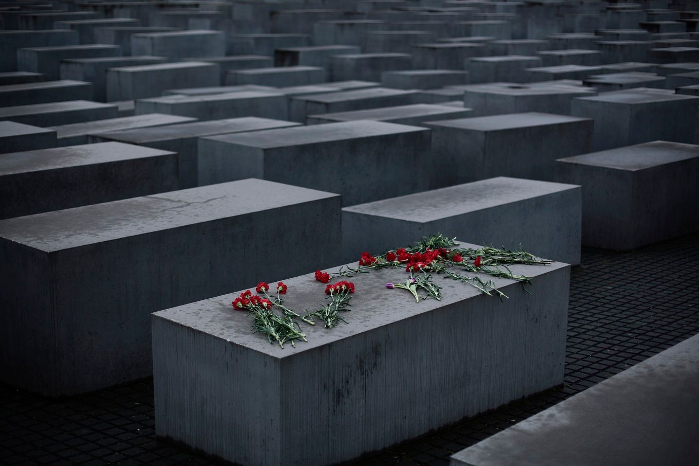 президент польши в освенциме. дети безвинные жертвы холокоста. символ памяти жертв холокоста. поклонная гора памятник жертвам холокоста. новости холокосте.