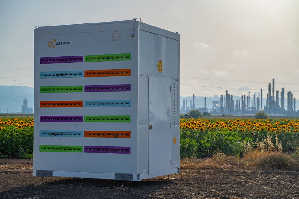 A robotic beehive made by Israeli startup Beewise that can can house more than 40 colonies at once.