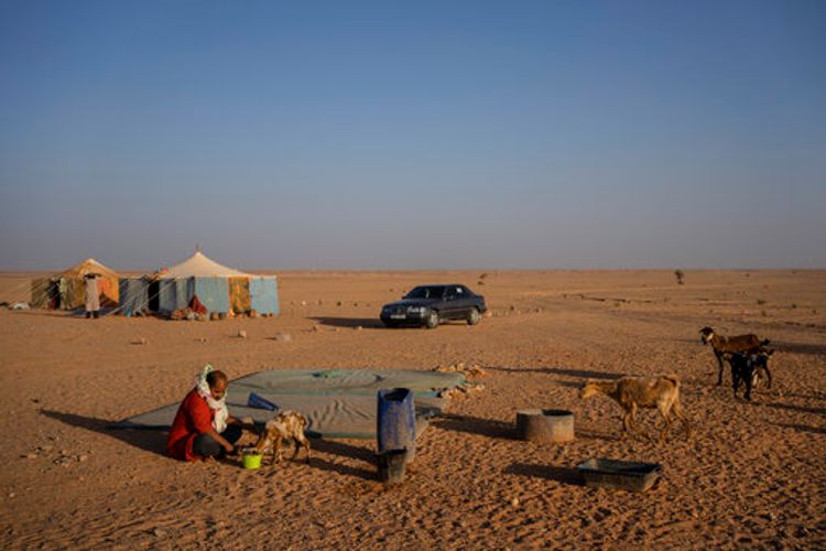 AP Photo/Bernat Armangue, File