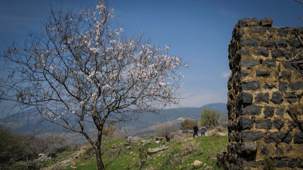 יום שמש אביבי ברמת הגולן