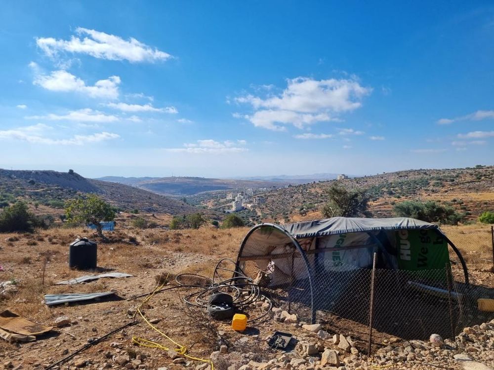 Picture of Oz Zion