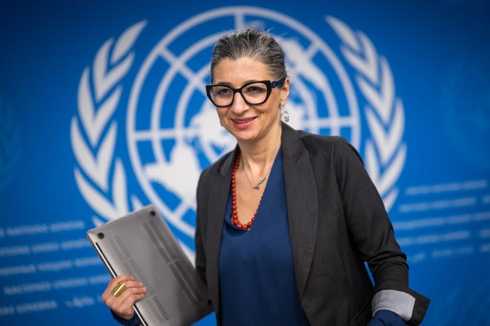 Francesca Albanese, Rapporteure spéciale des Nations Unies sur la situation des droits de l'homme dans les territoires palestiniens