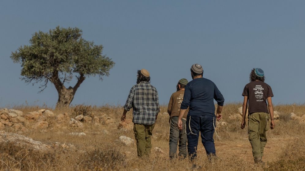 נערי גבעות, ארכיון. למצולמים אין קשר לכתבה