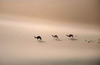 Désert d'Arabie Saoudite