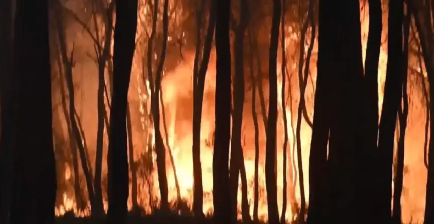 Incendies : la Grèce en état d'alerte