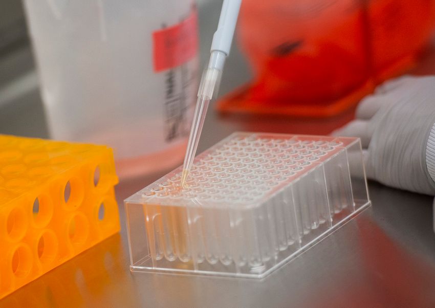 Illustration - Echantillons de protéines dans les laboratoires Novavax à Rockville, Maryland le 20 mars 2020, l'un des laboratoires développant un vaccin pour le coronavirus, COVID-19