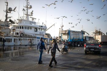 طيور النورس تحلق فوق سفن صيد راسية في الميناء الرئيسي بمدينة الداخلة ، الصحراء الغربية ، الاثنين 21 ديسمبر 2020