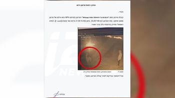 סרטון ממצלמת האבטחה שניות לפני השלכת הכלב נוקי למדורה