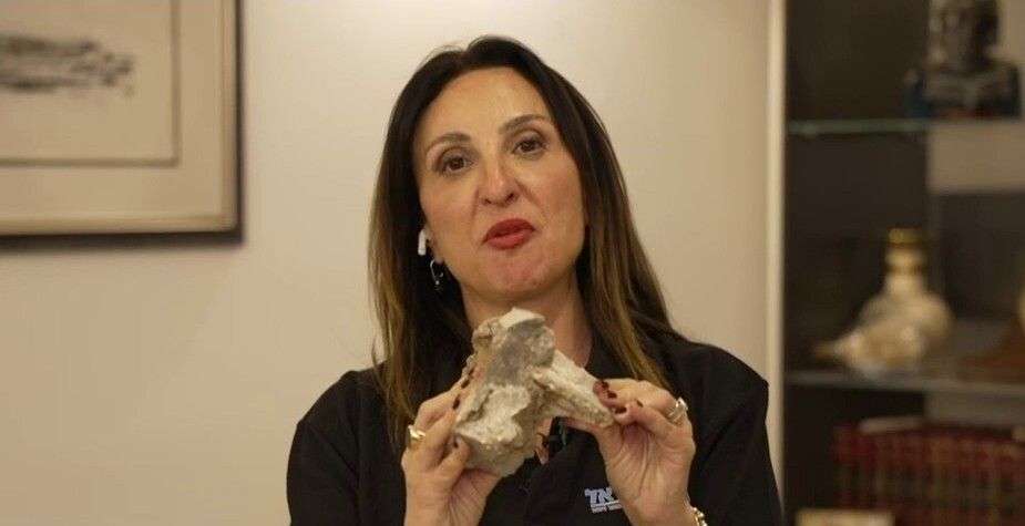 ‘This could kill somebody,’ Fleur Hassan-Nahoum tells i24NEWS after Palestinian...