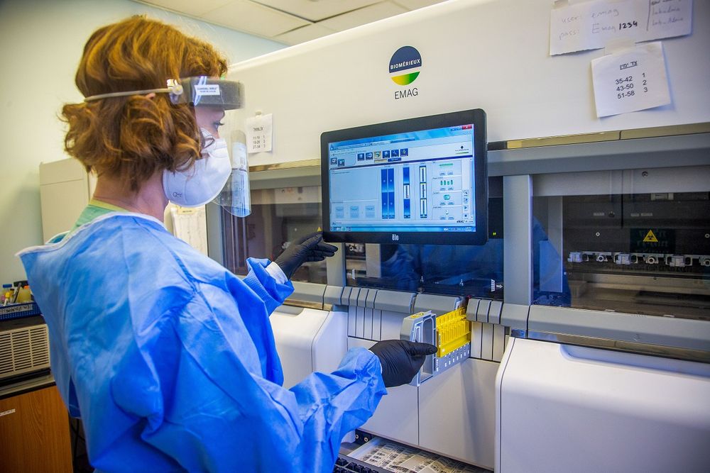 Une infirmière effectue un test covid dans un laboratoire de l'hôpital Ichilov à Tel Aviv, le 3 août 2020.