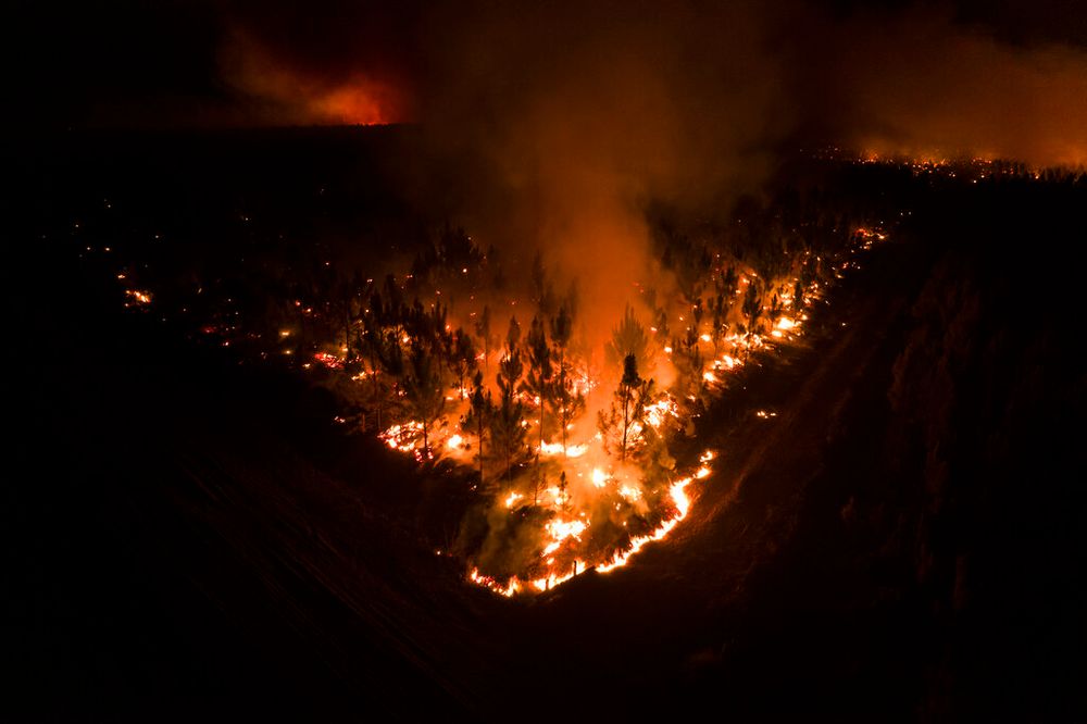 Argentina Wildfires Rage, Burning Wetlands And Farms I24NEWS
